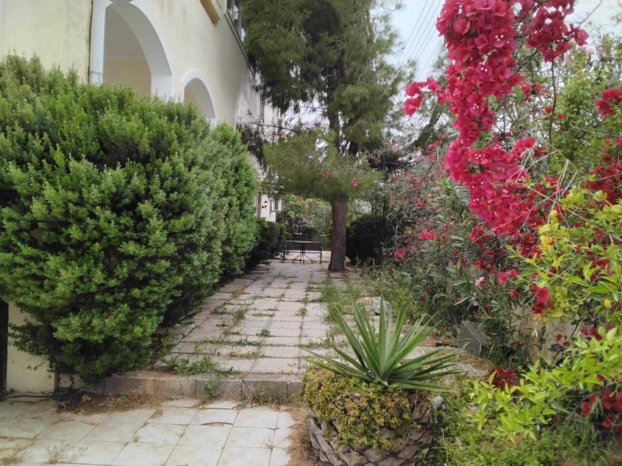 Peaceful Oasis Apartment Atena Exterior foto