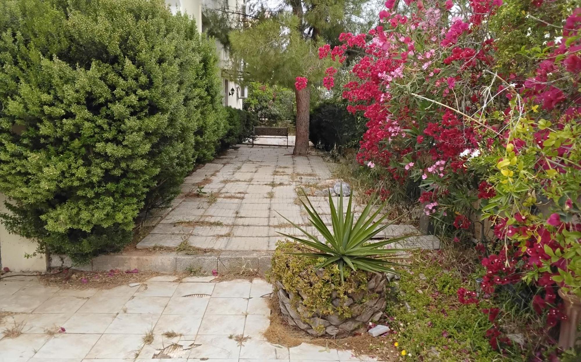 Peaceful Oasis Apartment Atena Cameră foto